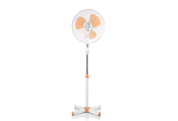 CT-5004 Beige - Image 2