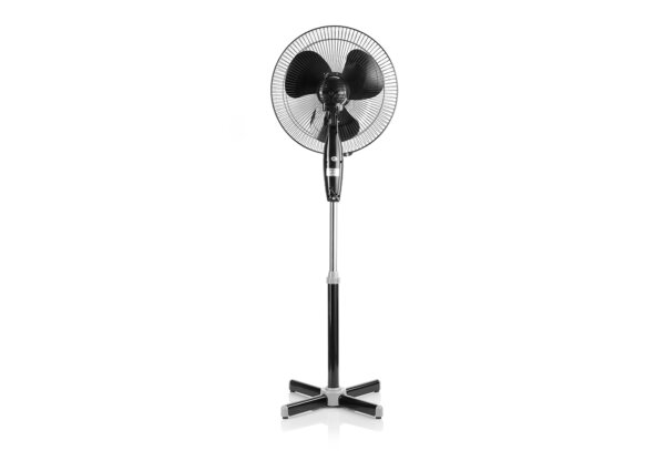 CT-5004 BLACK - Image 2