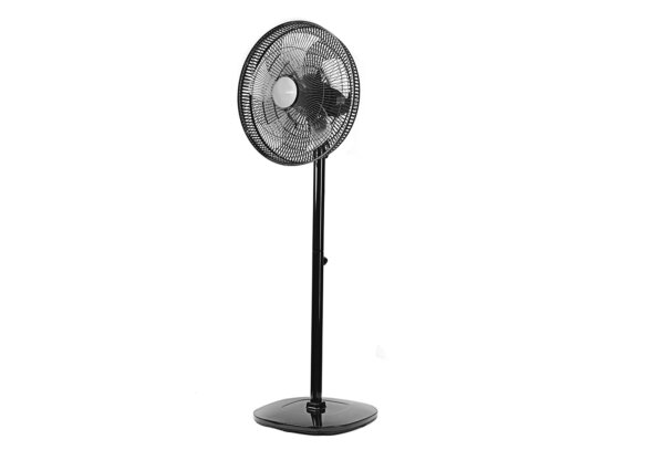 CT-5024 BLACK - Image 3
