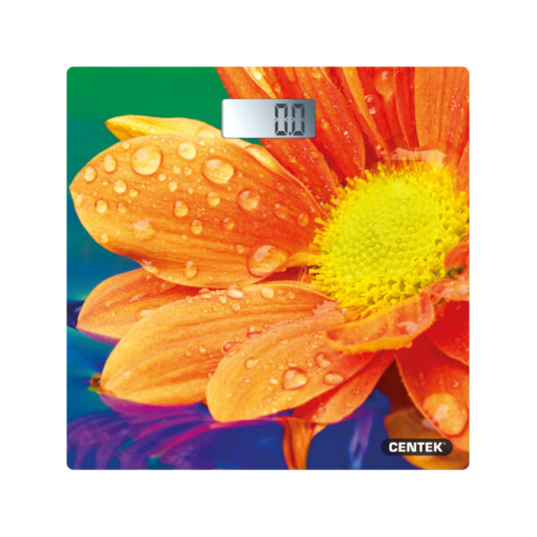 CT-2420 FLOWER