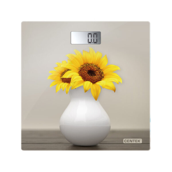 CT-2428 SUNFLOWER